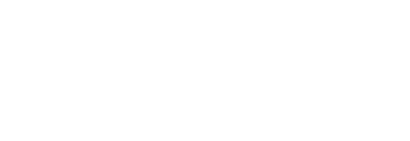 Nettselskapet